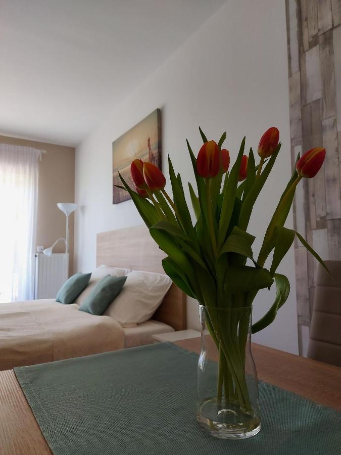 Bike & Spa Velence Apartman Exteriér fotografie